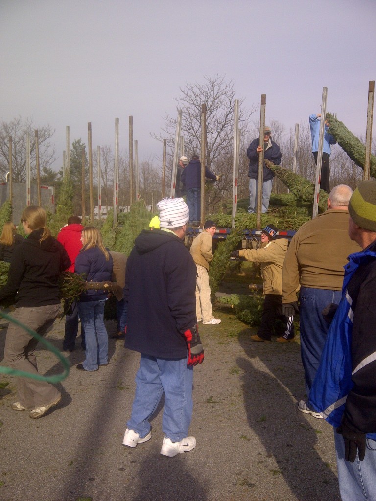 Trees Arrive! The Rotary Club of Ballston Spa